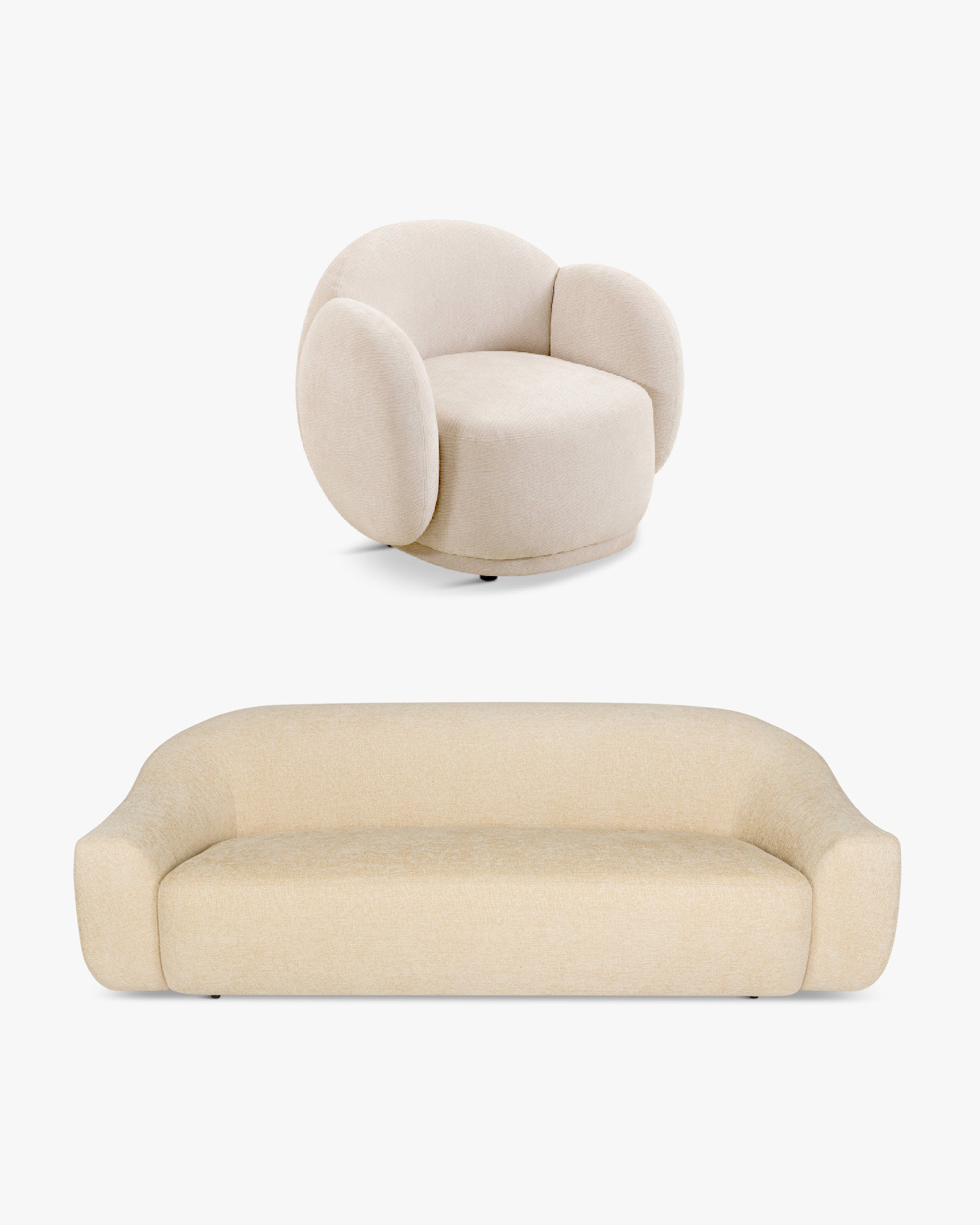 Cocoon + Sahara